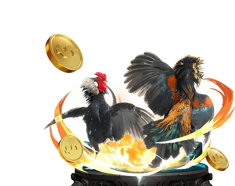 Cài đặt ứng dụng đá gà trực tiếp